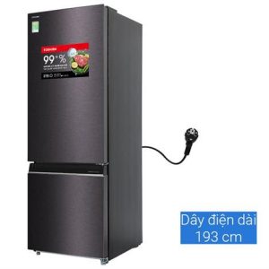 Tủ lạnh Toshiba Inverter 325 lít