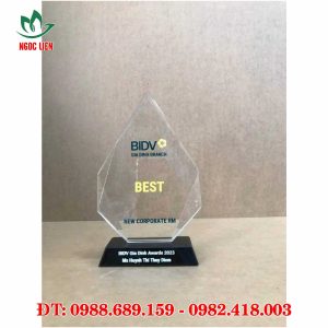 Kỷ niệm chương pha lê
